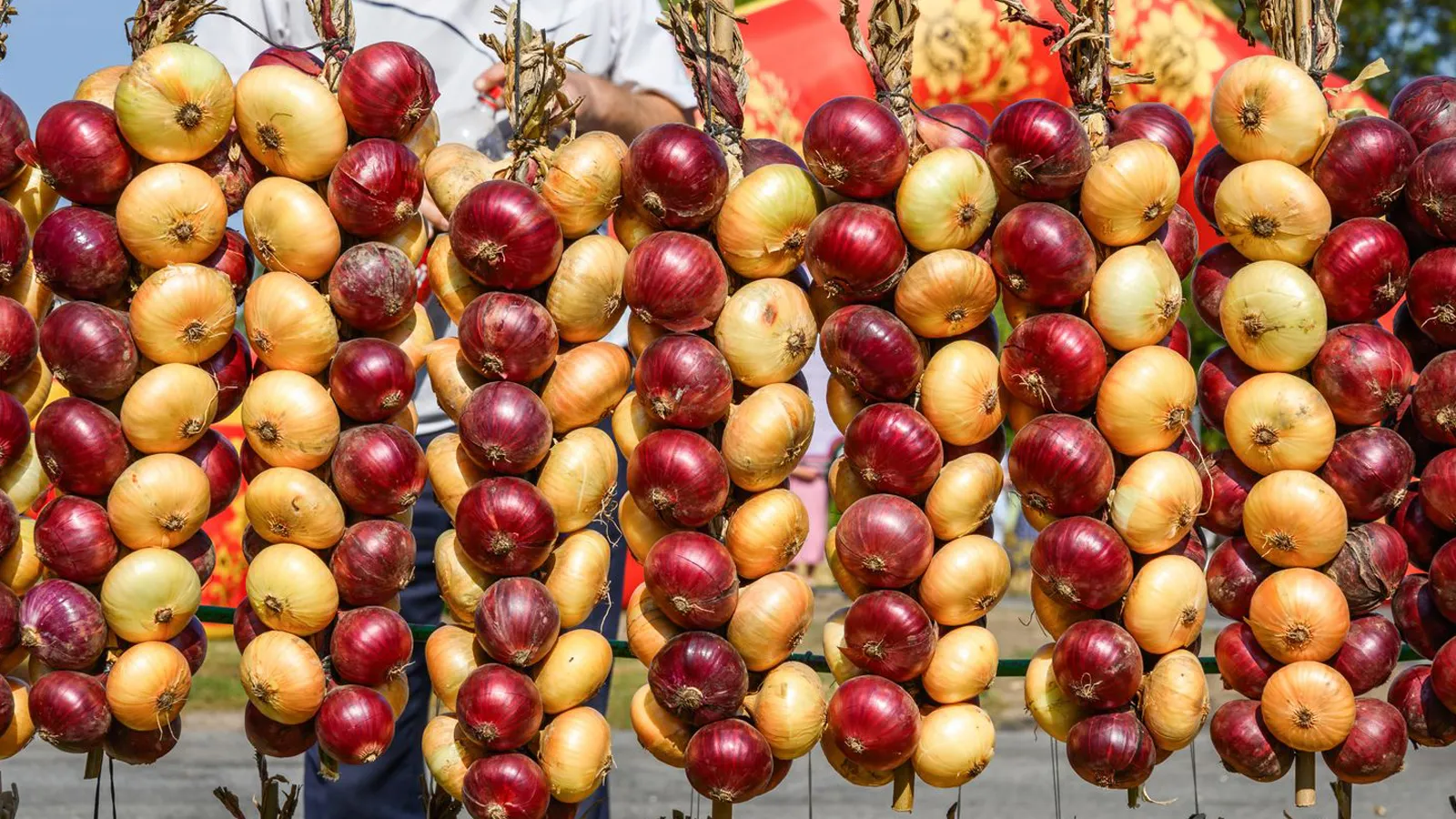 Фото: медиасток.рф