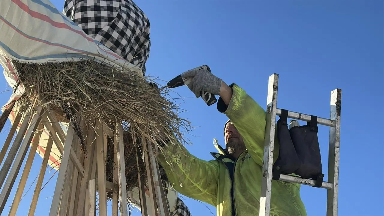 REGIONS/Кристина Тришина