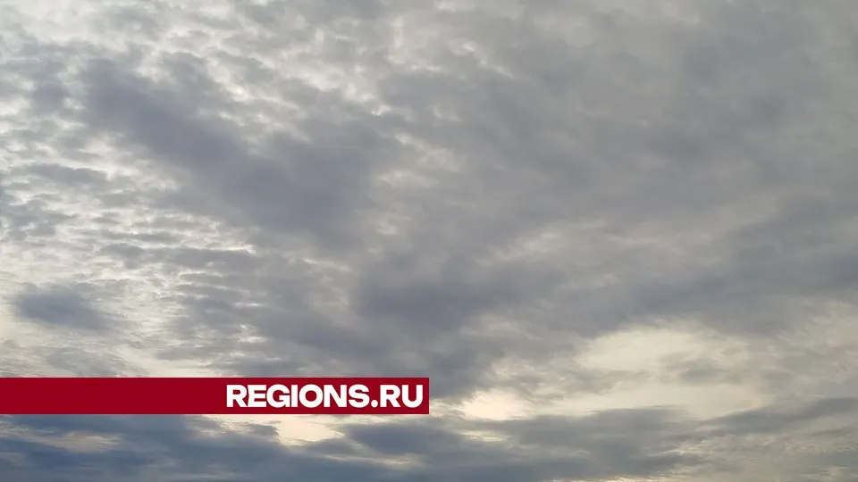 Фото: REGIONS/Юлия Куделькина
