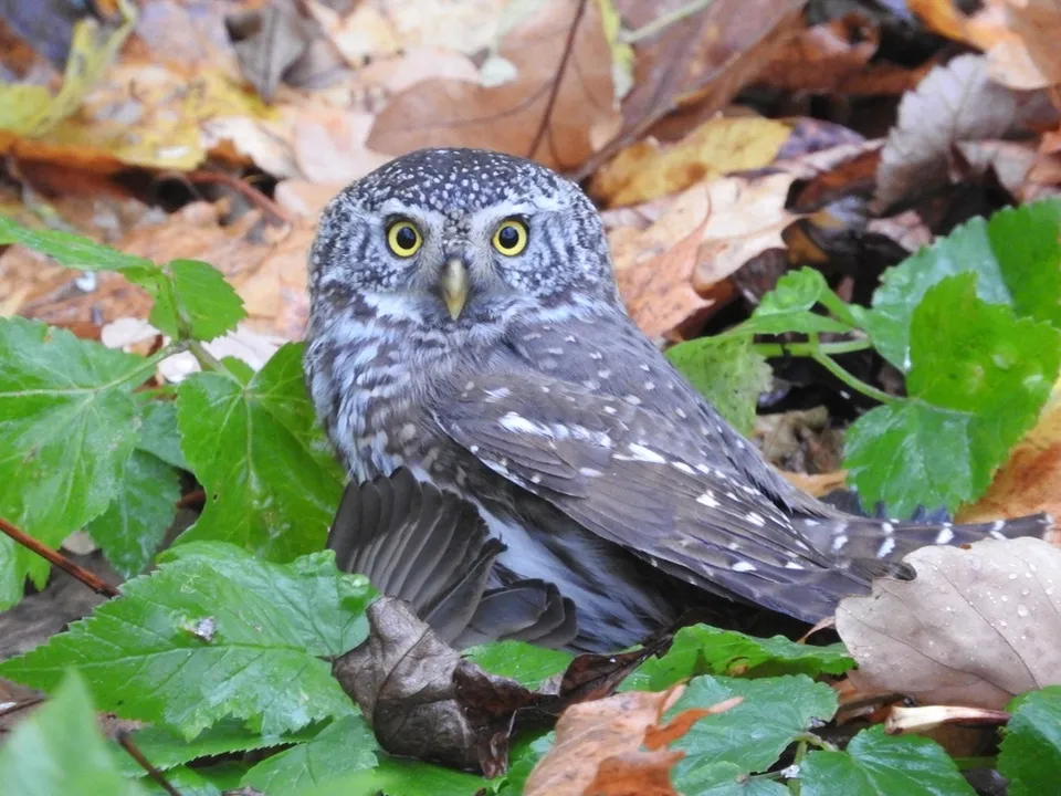 Фото: личный архив Ирины Столяровой&nbsp;