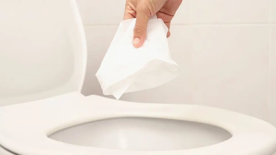 Фото: istockphoto.com/Shisanupong Khankaew