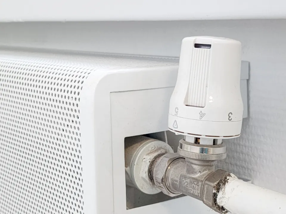 Фото: МедиаБанк Подмосковья/Мария Андрюхина