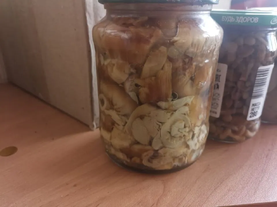 Фото: REGIONS/Елена Шумакова