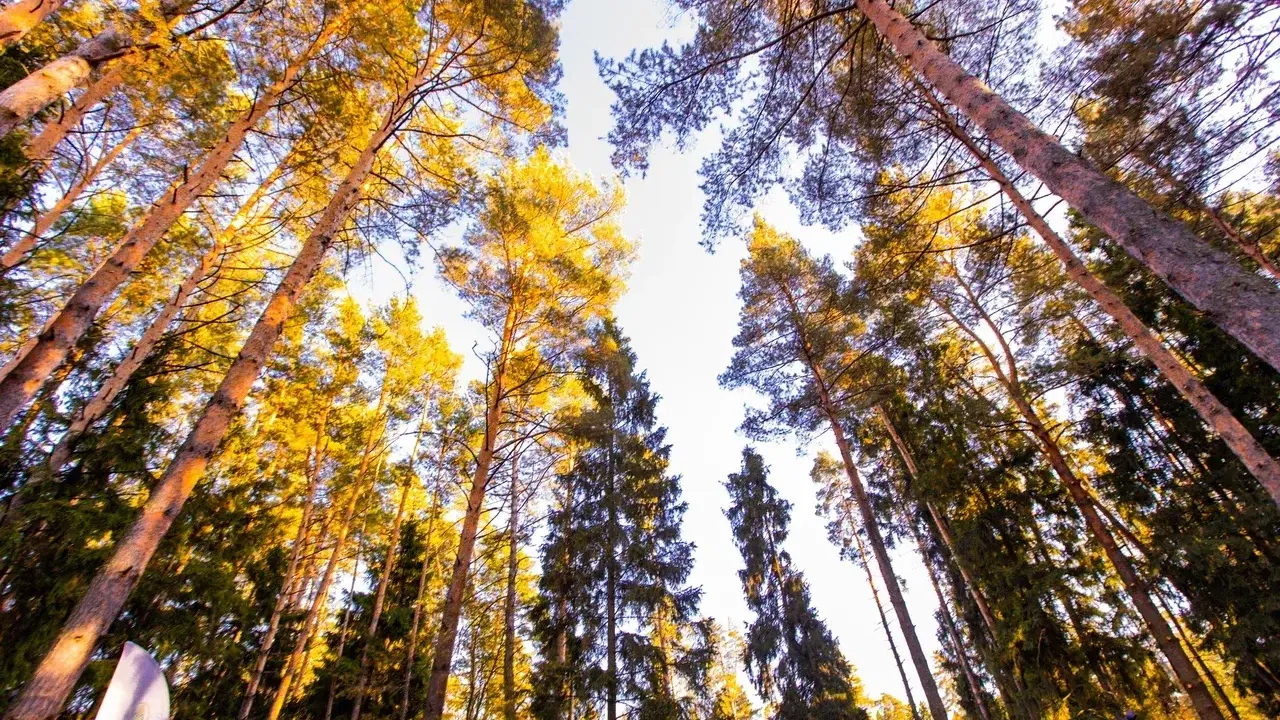 Министерство благоустройства Московской области