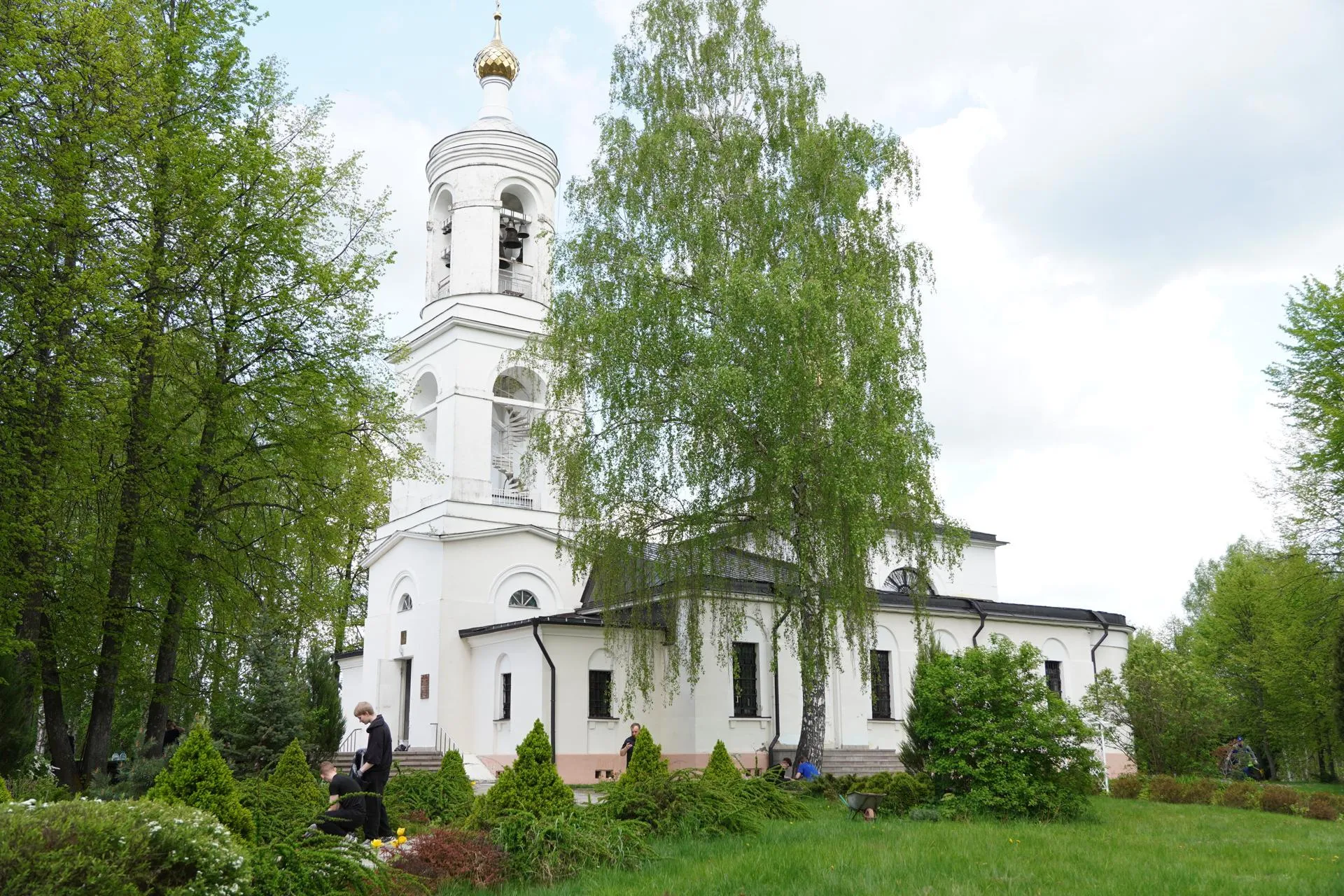 Картинка