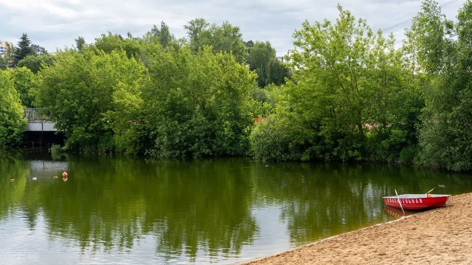 Фото: медиасток.рф