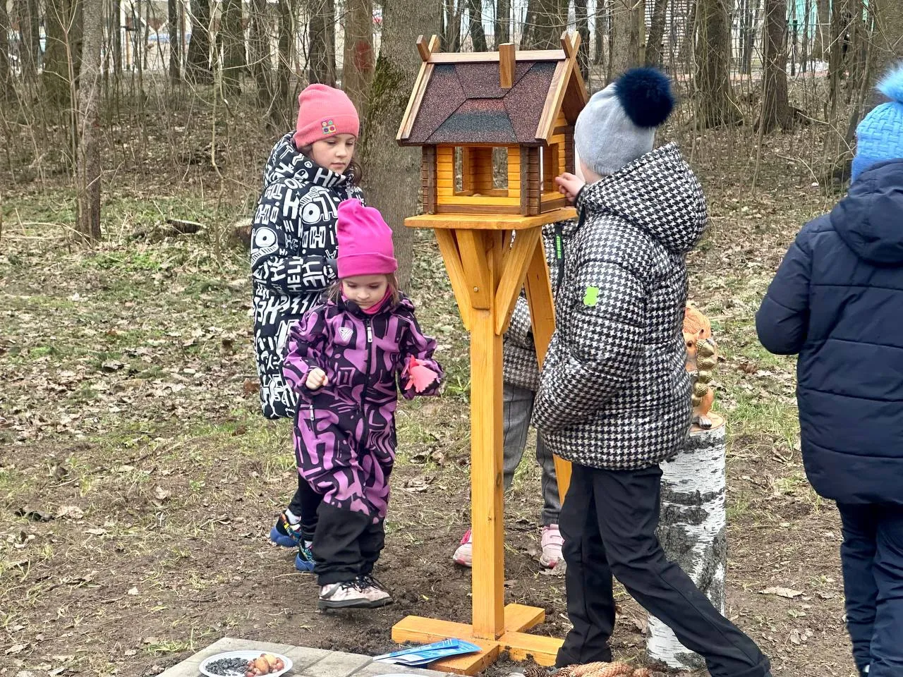 фото: Парки Краснознаменска