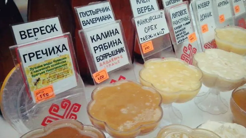 Леонид Броневой / Подмосковье сегодня 