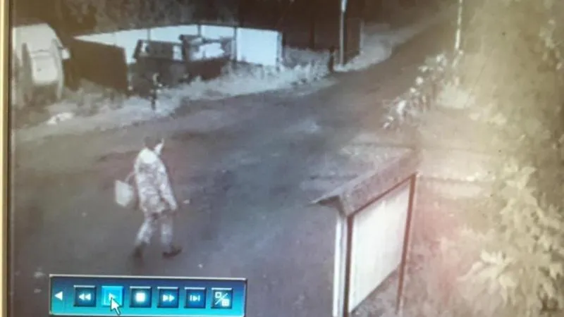 Добровольцев для поиска заблудившейся в лесу женщины набирают в Щелково