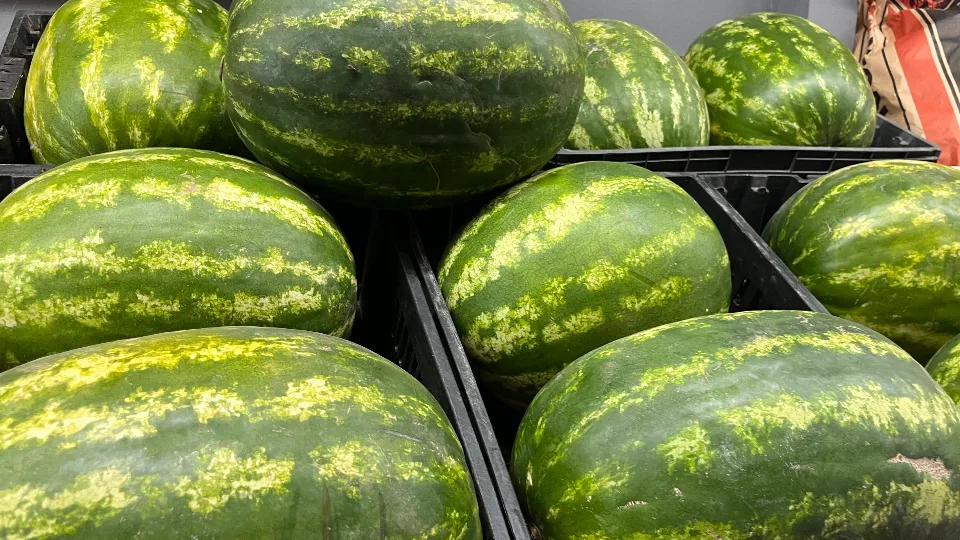 Фото: МедиаБанк Подмосковья/Ангелина Стельмух