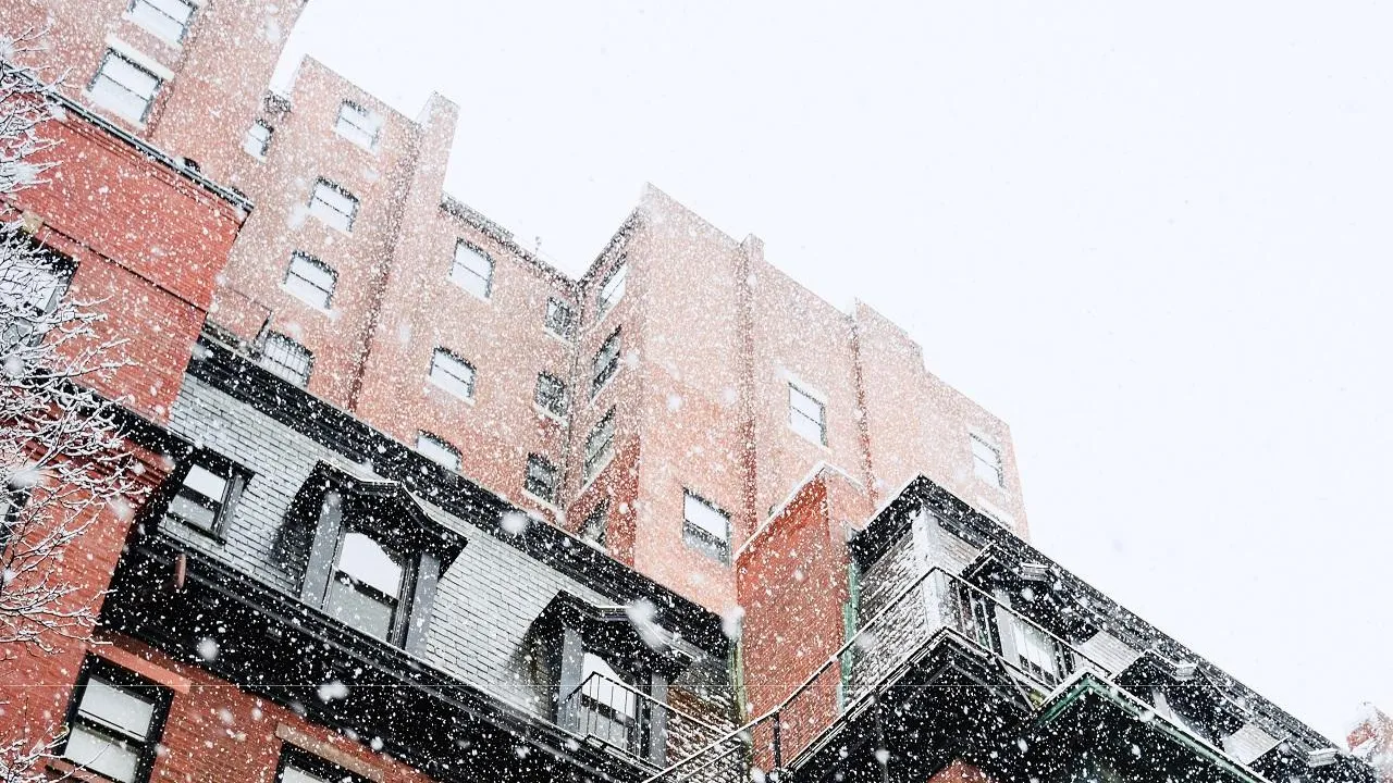 Unsplash