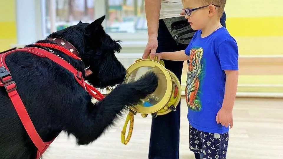 Фото: пресс-служба администрации г.о. Сергиев Посад