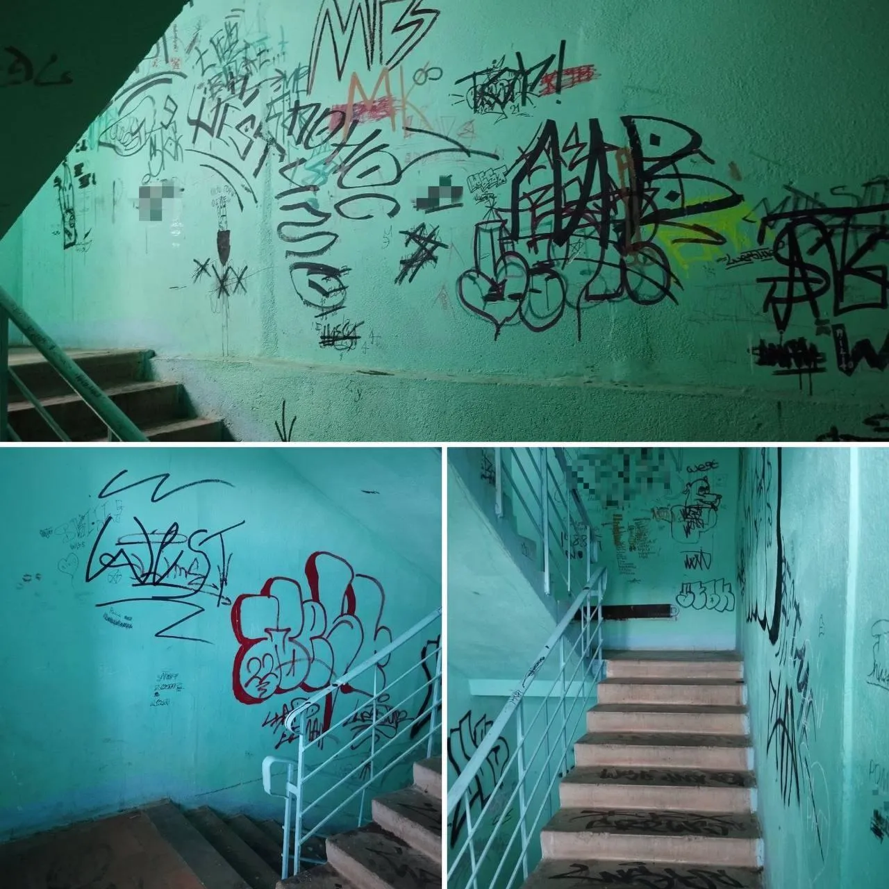 Фото: Администрация городского округа Истра / ВКонтакте