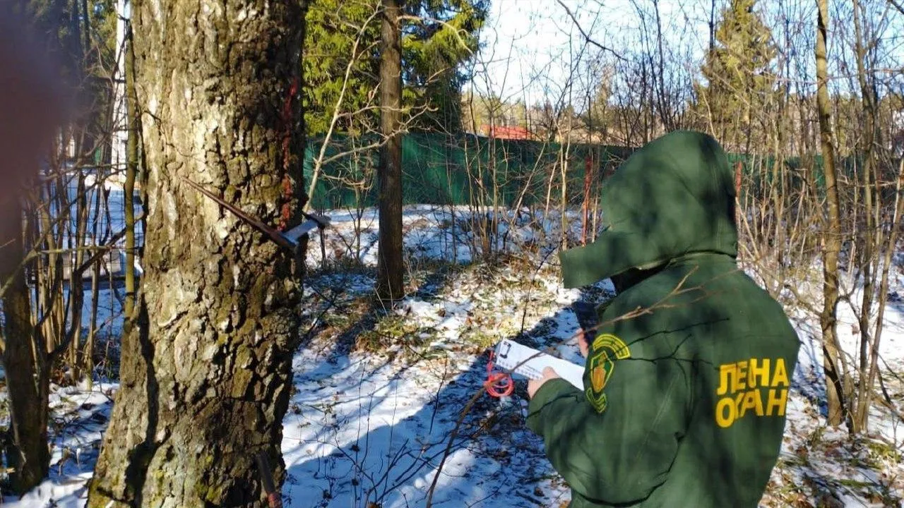 ГАУ МО «Мособллес»