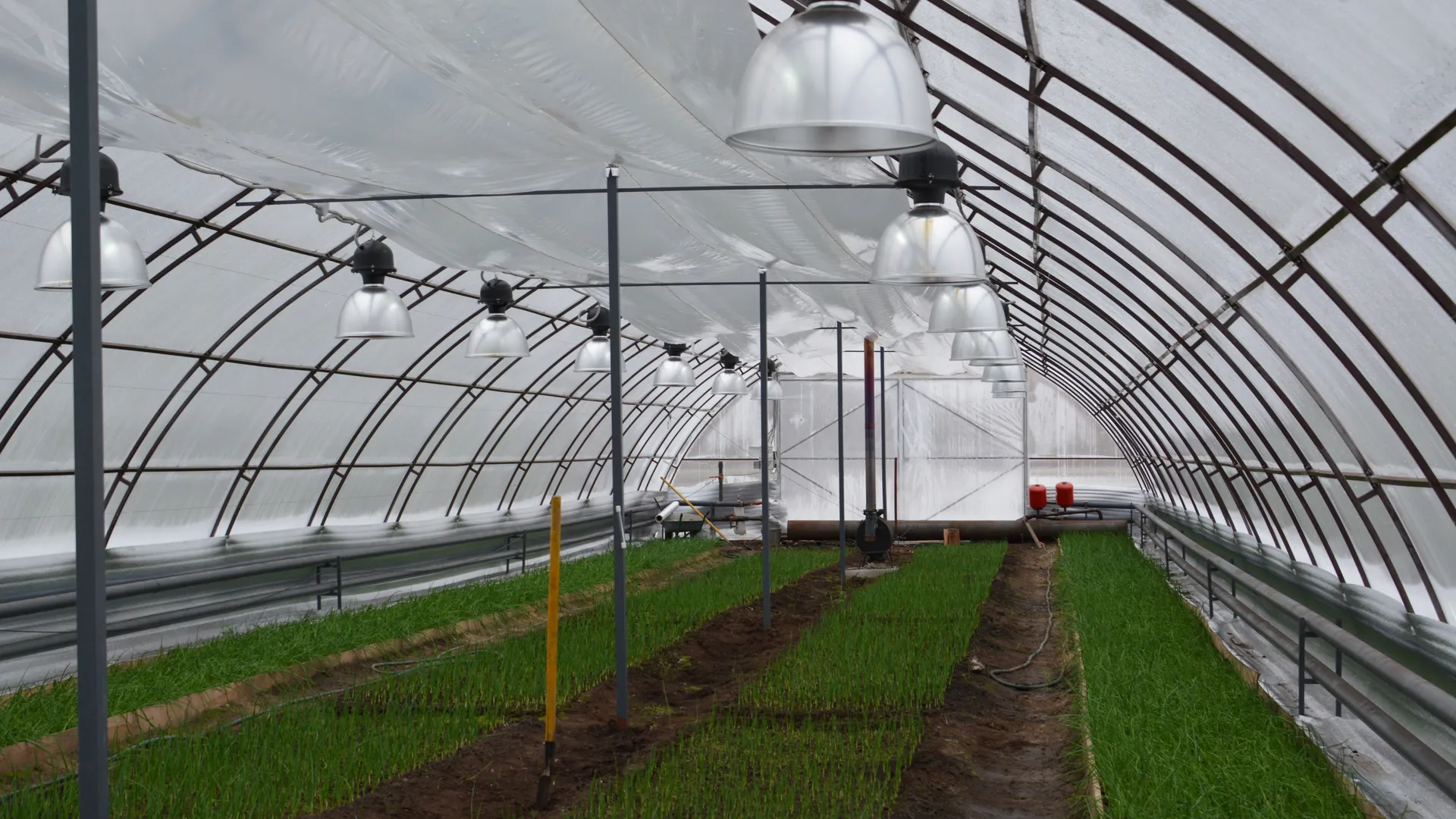 медиасток.рф