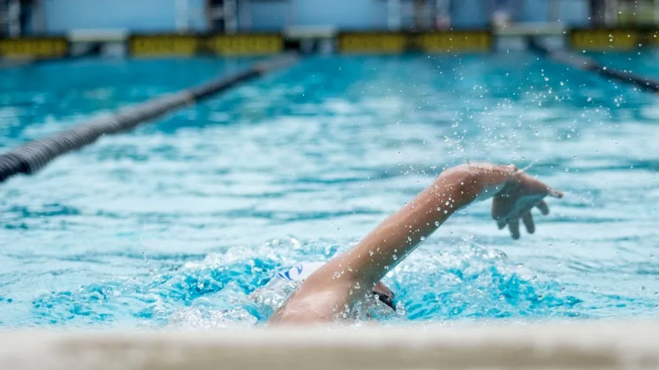 Фото: pxhere.com