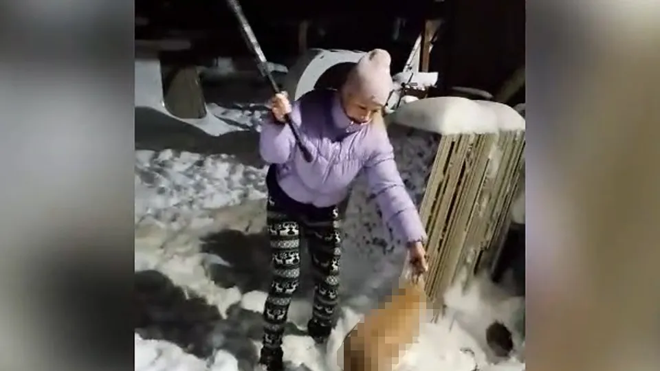 Фото: соцсети