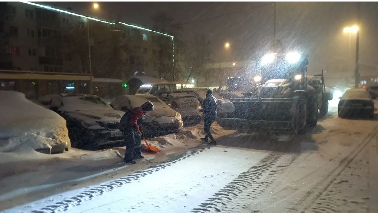 Соцсети Анны Кротовой