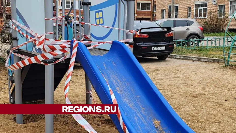 Фото: Дмитрий Беденко