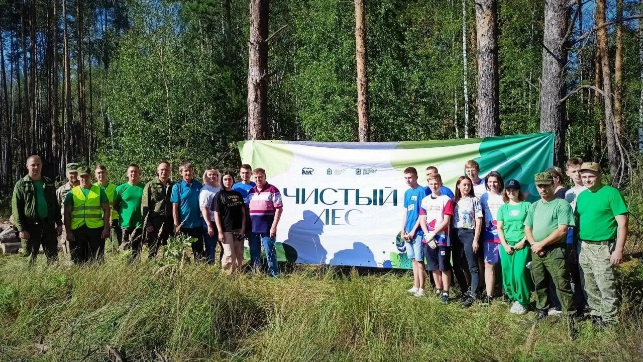 Комитет лесного хозяйства Московской области