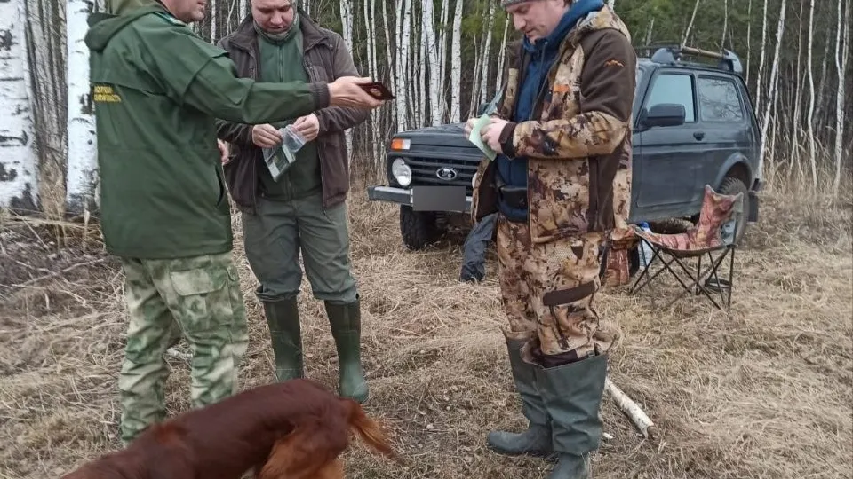Фото: пресс-служба Комитета лесного хозяйства Московской области