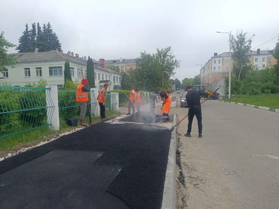 Фото: пресс-служба администрации г.о. Электросталь