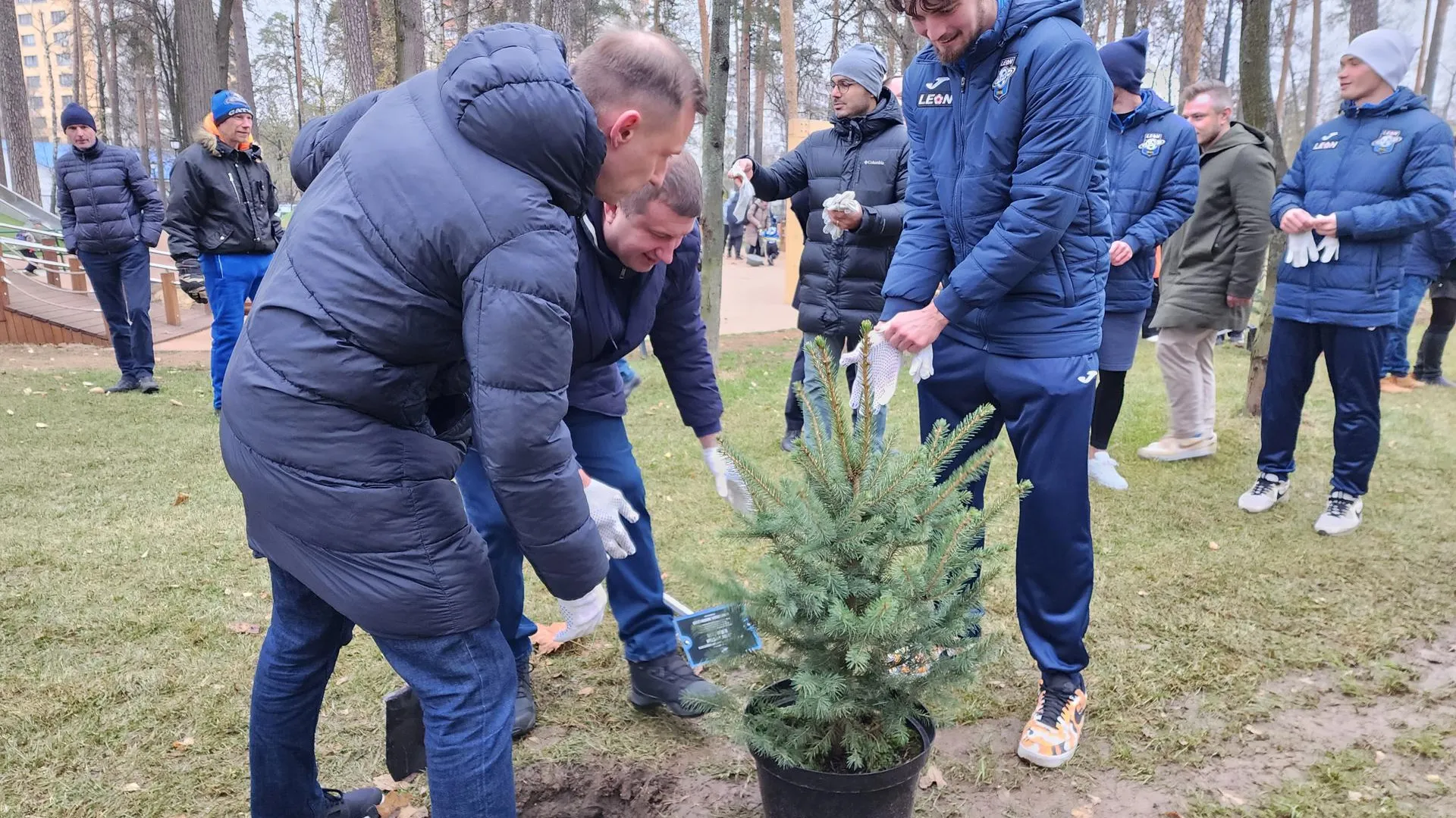 Ирина Моисеева