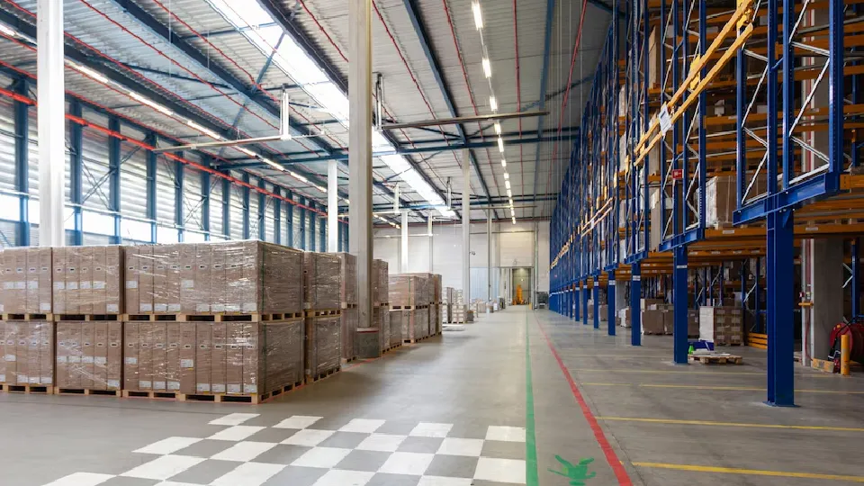 Фото: freepik.com