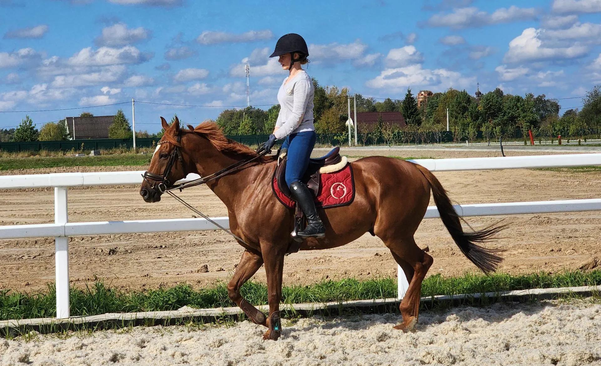 Фото: Андрей Семибратов