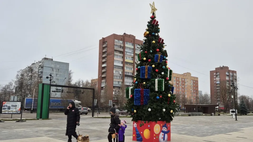 Фото: Юлия Выборова