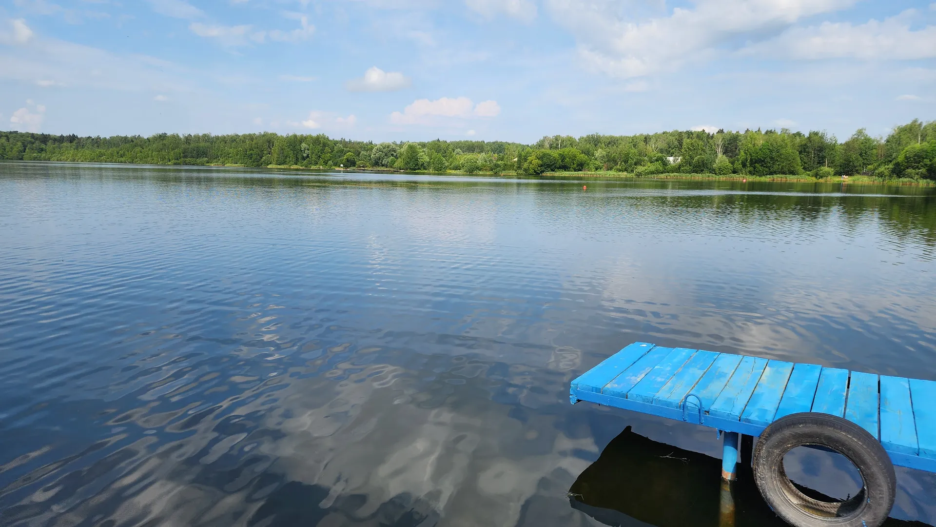 Фото:  REGIONS/Наталья Дорошева