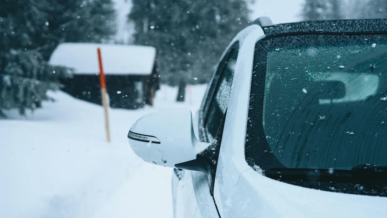 Фото: unsplash.com