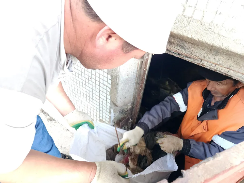 Фото: Медиабанк Подмосковья/Дмитрий Алексеенко