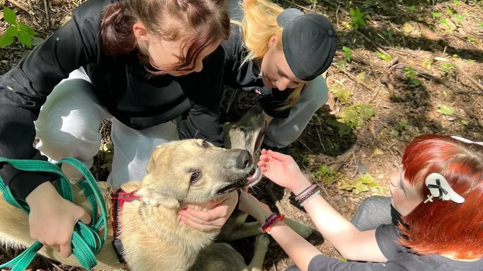 Фото: Министерство социального развития Московской области