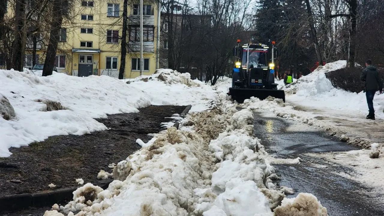 REGIONS/Мария Панина