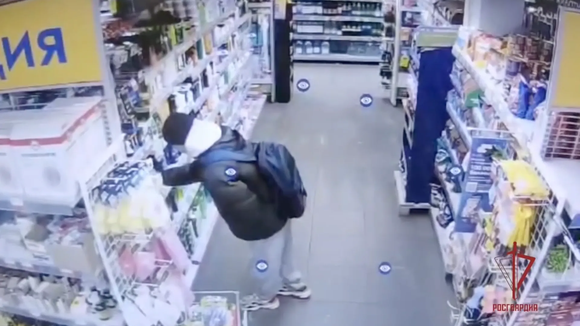 Фото: скриншот видео ГУ Росгвардии