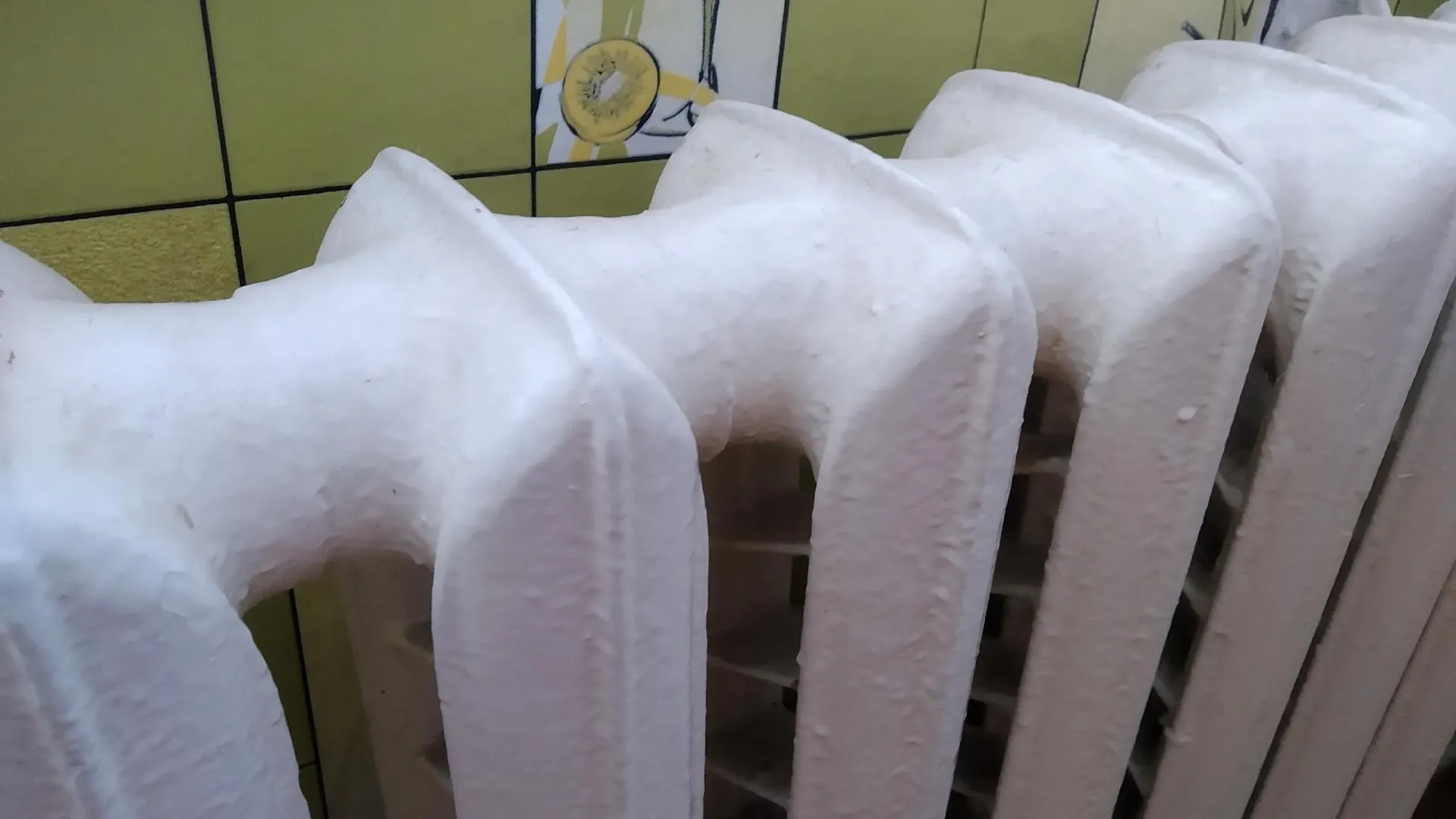 Фото: Татьяна Синельникова