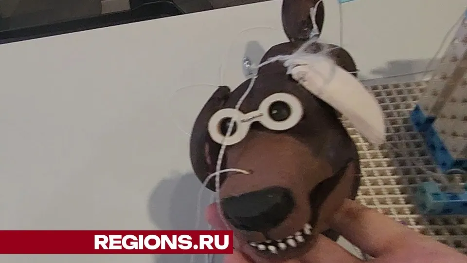 Фото: Михаил Раскин