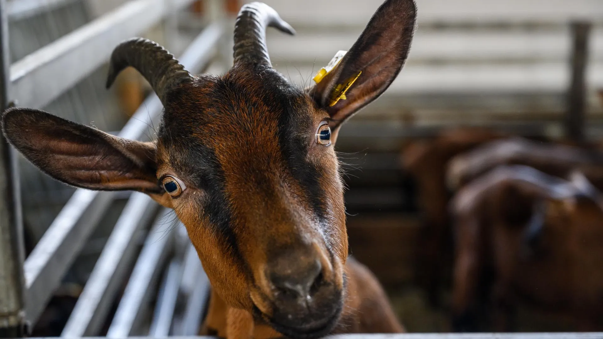 медиасток.рф