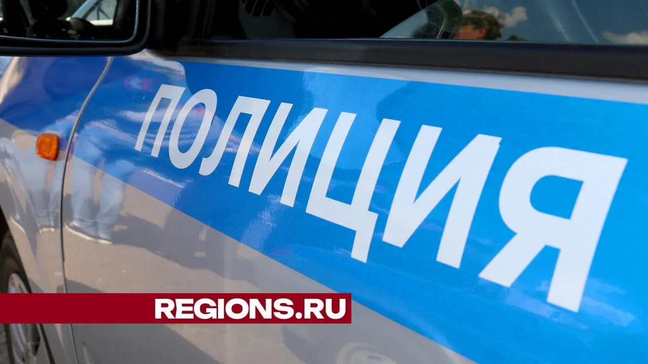 Фото: Александр Дрожжин