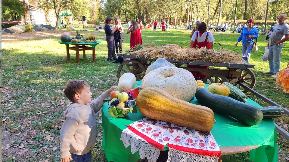 Фото: МедиаБанк Подмосковья/Дмитрий Алексеенко