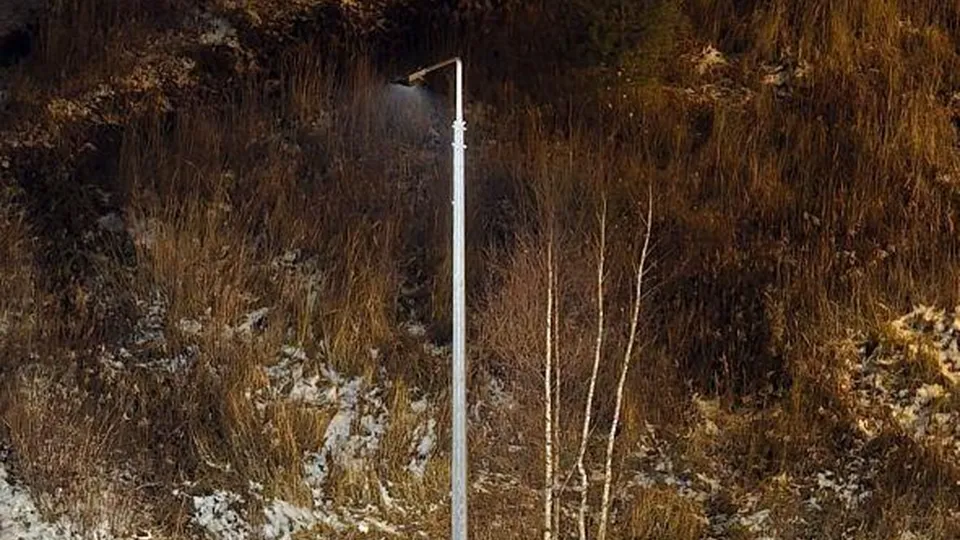 Фото: пресс-служба министерства благоустройства Московской области