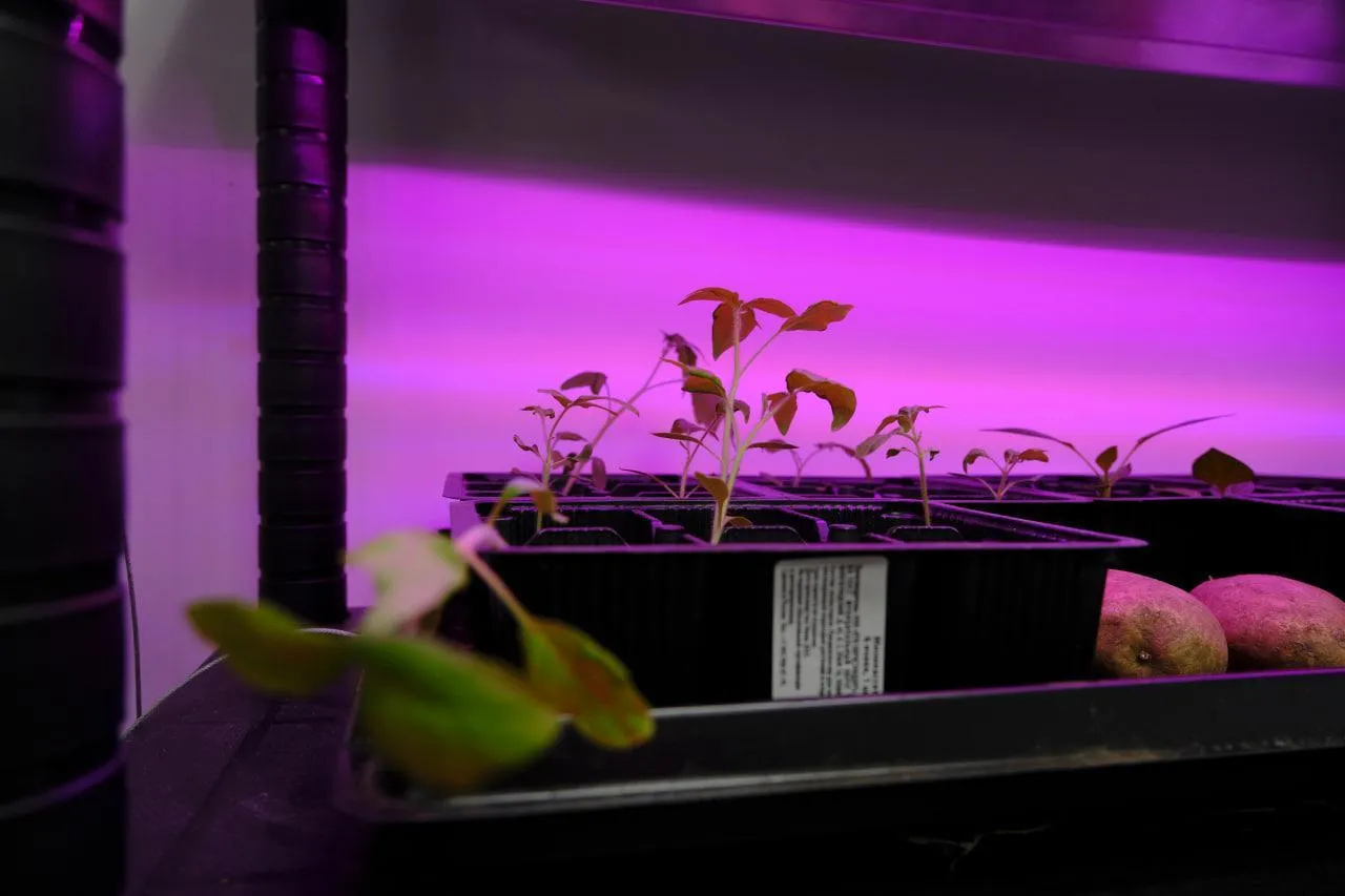 Фото: Мария Панина