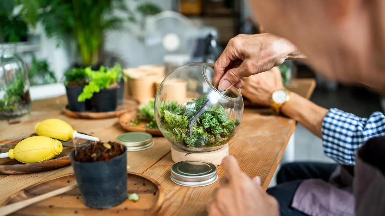 istockphoto.com/NickyLloyd