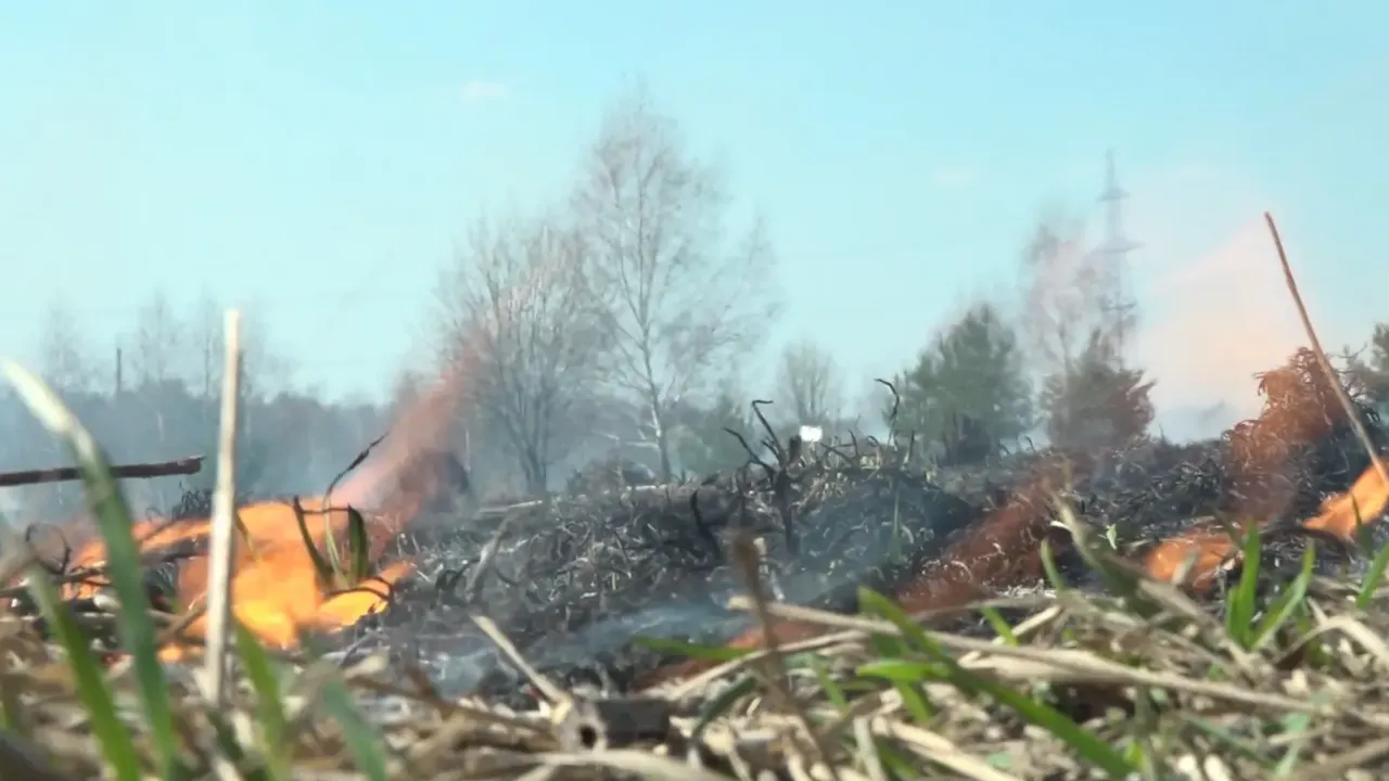 REGIONS/Наталия Надточая