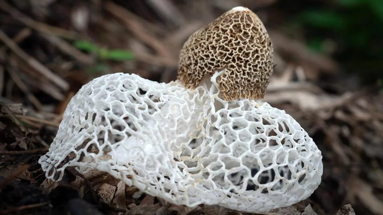 istockphoto.com/ApisitWilaijit