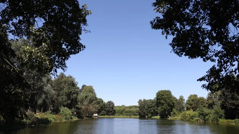 Фото: Администрация г.о. Чехов