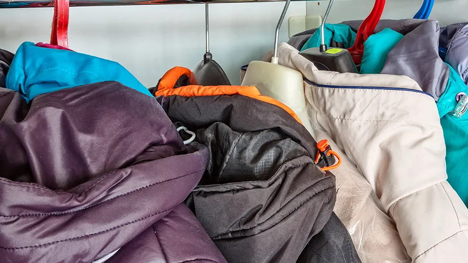 Фото: istockphoto.com/Олег Зайкин