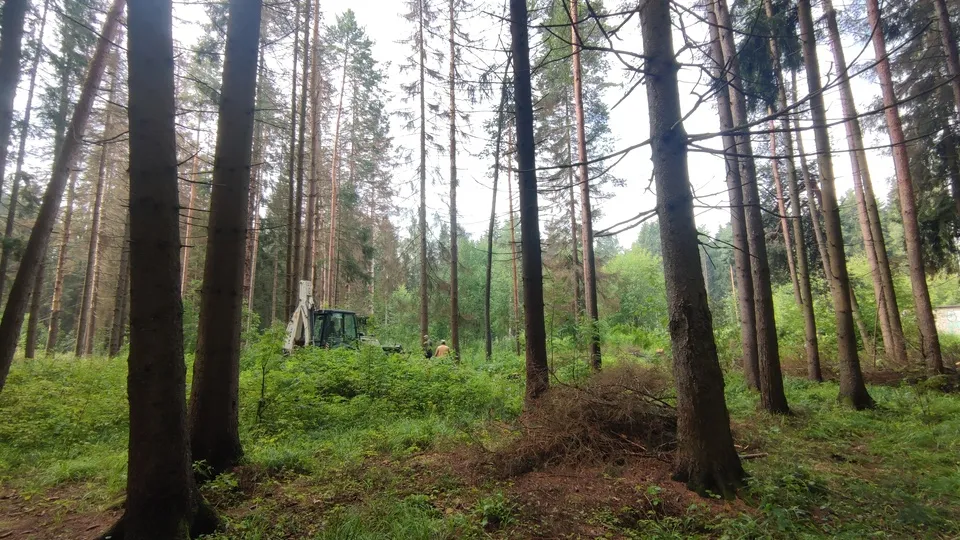 Фото: МедиаБанк Подмосковья/Арина Кузнецова