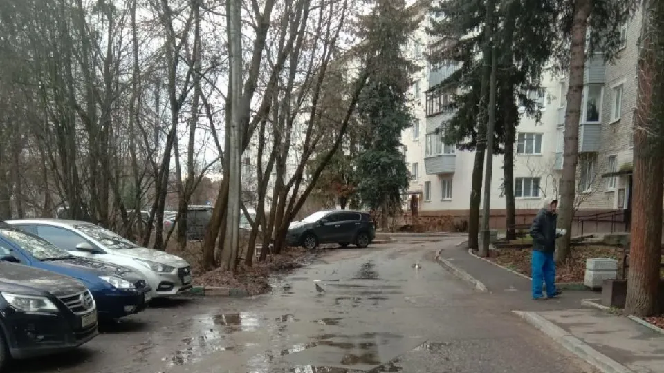 Фото: пресс-служба администрации г.о. Лосино-Петровский